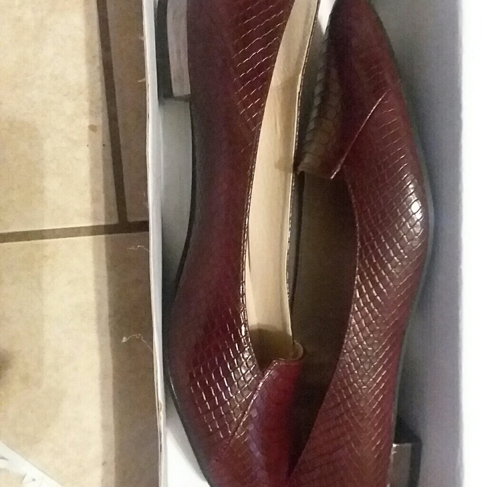 Cato  pointed toe flats